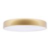 Светильник потолочный Loft It Flims 10228/A