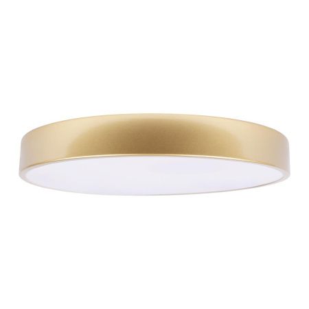 Светильник потолочный Loft It Flims 10228/A