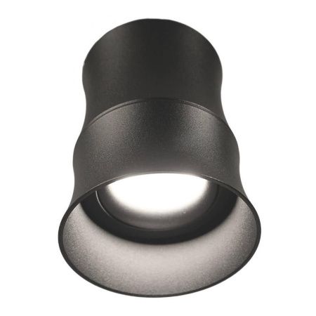 Светильник накладной Lumina Deco Riston (Ристон) LDC 8053-C BK