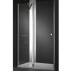 Душевая дверь Cezares ELENA ELENA-W-B-12-100-C-Cr 100х195 стекло прозрачное профиль хром