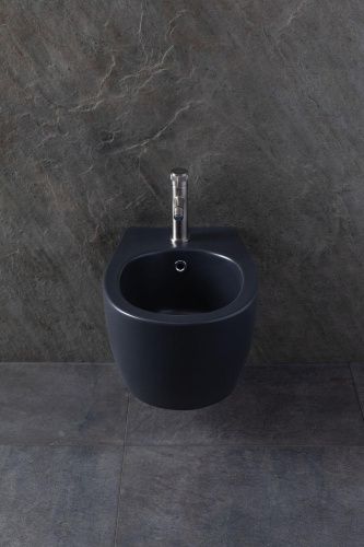 Биде Allen Brau Fantasy 4.11006.AN подвесное - фото 5