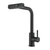 Смеситель для кухни Shevanik S263H на мойку черный