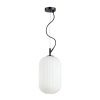 Светильник подвесной Odeon Light ROOFI (РООФИ) 4751/1