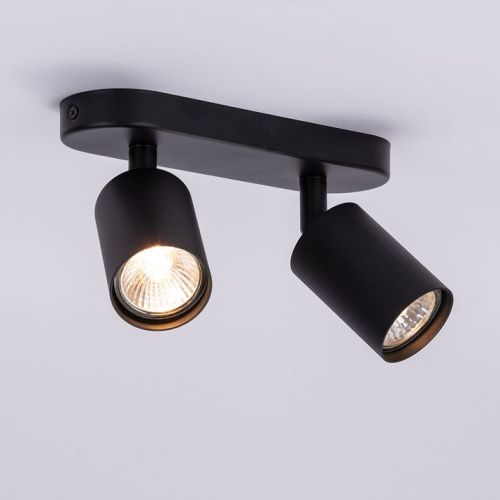 Спот Arte Lamp Aquarius (Акуариус) A3226PL-2BK - фото 2