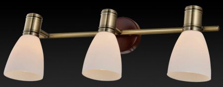 Спот Toplight Sharyl (Схарыл) TL3720Y-03BB