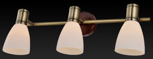 Спот Toplight Sharyl (Схарыл) TL3720Y-03BB - фото 3