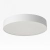 Светильник накладной Citilux Bart (Барт) CL755390