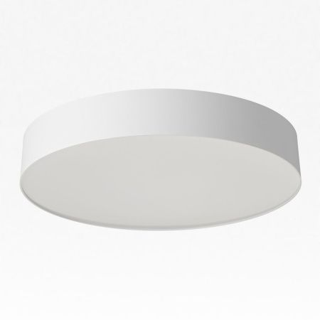 Светильник накладной Citilux Bart (Барт) CL755390