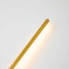 Светильник настенный Favourite Reed (Реед) 3001-3W