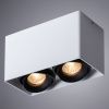 Светильник потолочный Arte Lamp Pictor (Пицтор) A5654PL-2WH