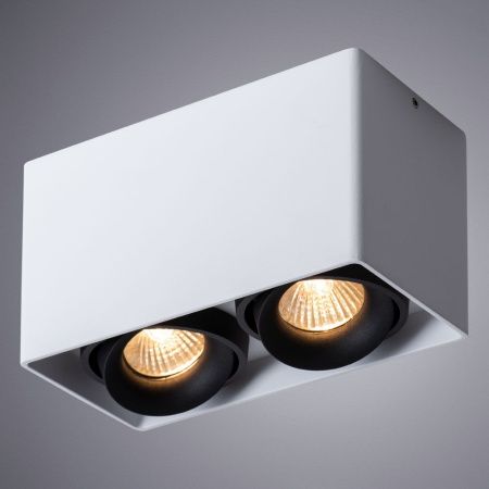 Светильник потолочный Arte Lamp Pictor (Пицтор) A5654PL-2WH
