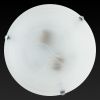 Светильник настенный Toplight Irma (Ирма) TL9071Y-02WH