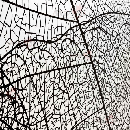 Душевая перегородка AvaCan MB120 120х200 стекло с рисунком профиль черный