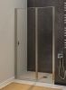 Душевая дверь Allen Brau Priority 3.31029.BA 100х200 стекло прозрачное профиль серебро