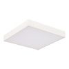 Светильник потолочный ST Luce ST608.532.48