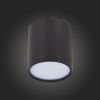 Светильник потолочный ST Luce Rene (Рене) ST113.432.05