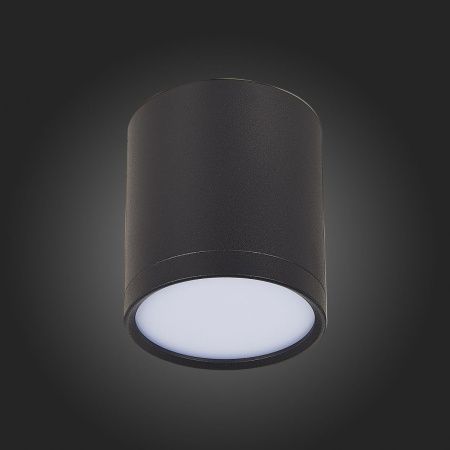 Светильник потолочный ST Luce Rene (Рене) ST113.432.05
