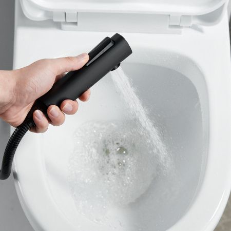 Гигиенический душ со смесителем Raffine F0596H-1 черный