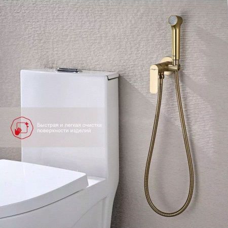 Гигиенический душ со смесителем Raglo R03 R03.52.03 золото
