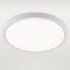 Светильник потолочный Natali Kovaltseva Plain (Плаин) LED LAMPS 81113/2C