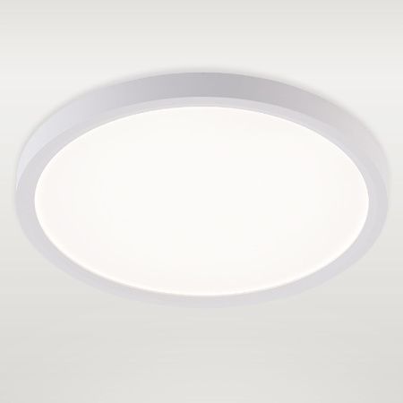 Светильник потолочный Natali Kovaltseva Plain (Плаин) LED LAMPS 81113/2C