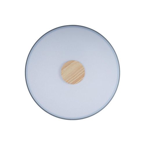 Светильник потолочный Loft It Axel 10003/24 Grey - фото 3