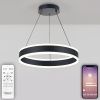 Светильник подвесной Natali Kovaltseva Laud (Лауд) LED LAMPS 81188
