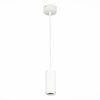 Светильник подвесной ST Luce Zoom (Зоом) ST600.533.10