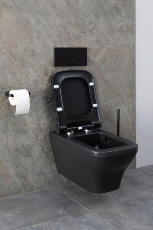 Чаша унитаза подвесная Allen Brau Infinity 4.21011.31 цвет черный матовый без сиденья безободковая каскадный смыв