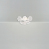 Люстра потолочная Freya Brillia (Бриллия) FR5274CL-06CH