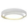 Светильник потолочный Evoluce Crosby (Цросбы) SLE6009-502-01