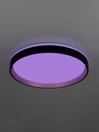 Светильник потолочный музыкальный Citilux Enzo (Ензо) CL753451G