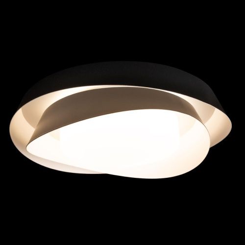 Светильник потолочный Loft It Petale 10256 Black - фото 2