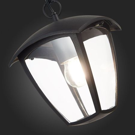 Уличный подвесной светильник ST Luce Sivino (Сивино) SL081.403.01