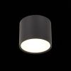 Светильник потолочный ST Luce Rene (Рене) ST113.442.09