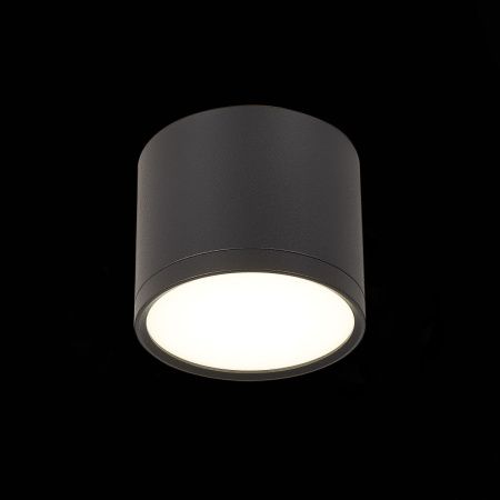 Светильник потолочный ST Luce Rene (Рене) ST113.442.09