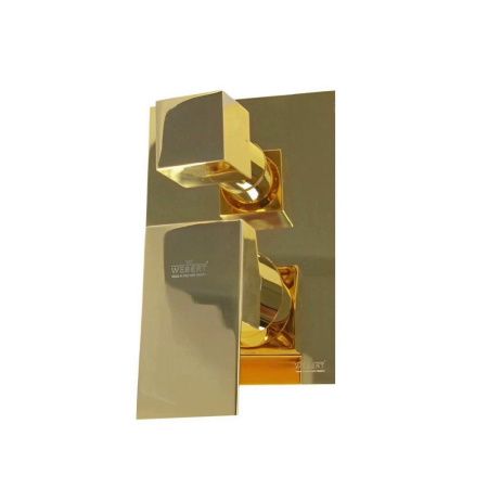 Смеситель для ванны и душа Webert Pegaso PE880601010 встраиваемый в стену золото