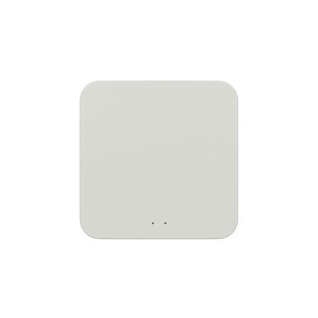 Конвертер WiFi-Zigbee/BLE для умного дома Denkirs Zigbee Control (Зигбее Цонтрол) DK7402-WF