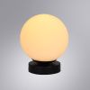 Настенно-потолочный светильник Arte Lamp Alcor (Алцор) A2224PL-1BK