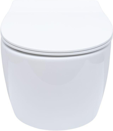 Чаша унитаза подвесная Allen Brau Fantasy 4.11004.20 цвет белый без сиденья безободковая каскадный смыв