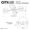 Люстра на штанге Citilux Дэвис CL201141