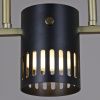 Люстра потолочная Reluce 06675-0.3-05 GD+BK GX53