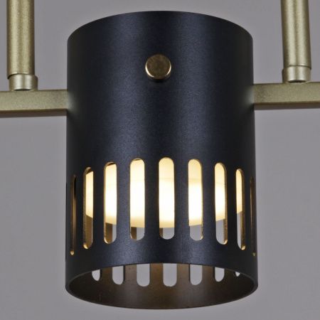 Люстра потолочная Reluce 06675-0.3-05 GD+BK GX53