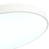 Светильник потолочный Zortes Tortty (Тортты) ZRS.02564.96