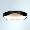 Светильник потолочный Arte Lamp Ankaa (Анкаа) A3085PL-48BK