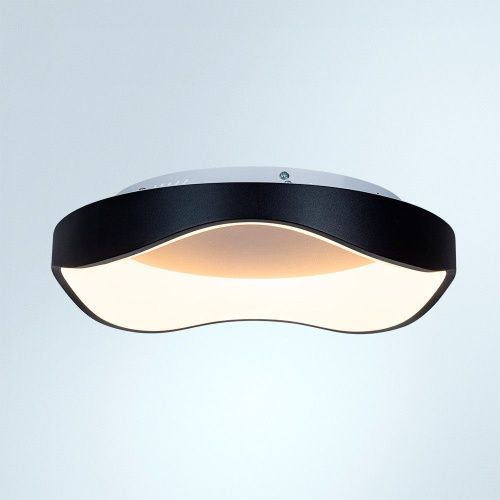 Светильник потолочный Arte Lamp Ankaa (Анкаа) A3085PL-48BK - фото 2