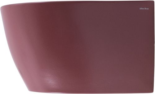 Биде Allen Brau Fantasy 4.11006.BD подвесное - фото 2