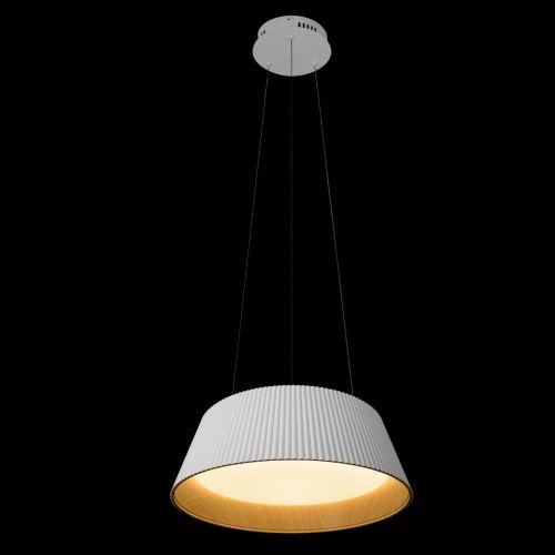 Светильник подвесной Loft It Evans 10224P White - фото 4