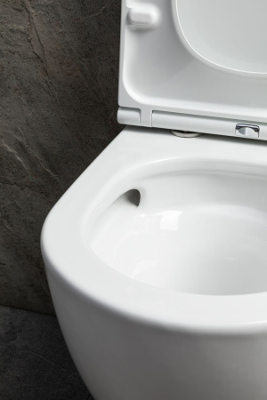 Чаша унитаза подвесная Allen Brau Priority Tornado 4.31009.20 цвет белый без сиденья безободковая душевой смыв