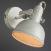 Спот Arte Lamp Martin (Мартин) A5213AP-1WG